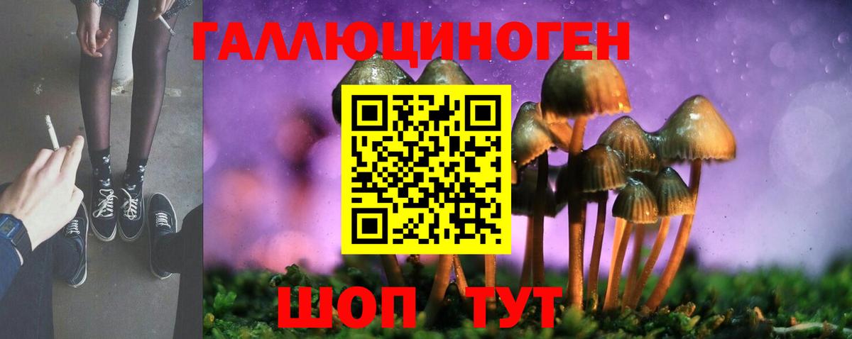 Жигулёвск  Галлюциногенные грибы MAGIC MUSHROOMS  Вход с VPN 