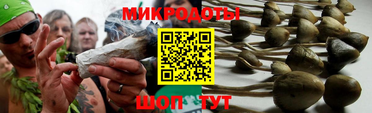 Псилоцибиновые грибы GOLDEN TEACHER Жигулёвск